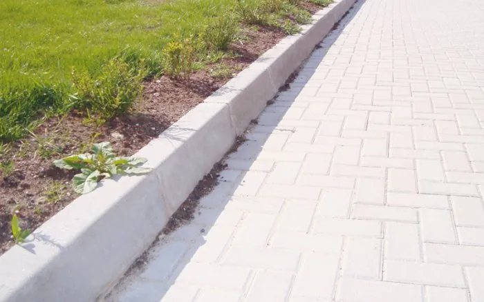 Limonluk Bordür - Görsel 2