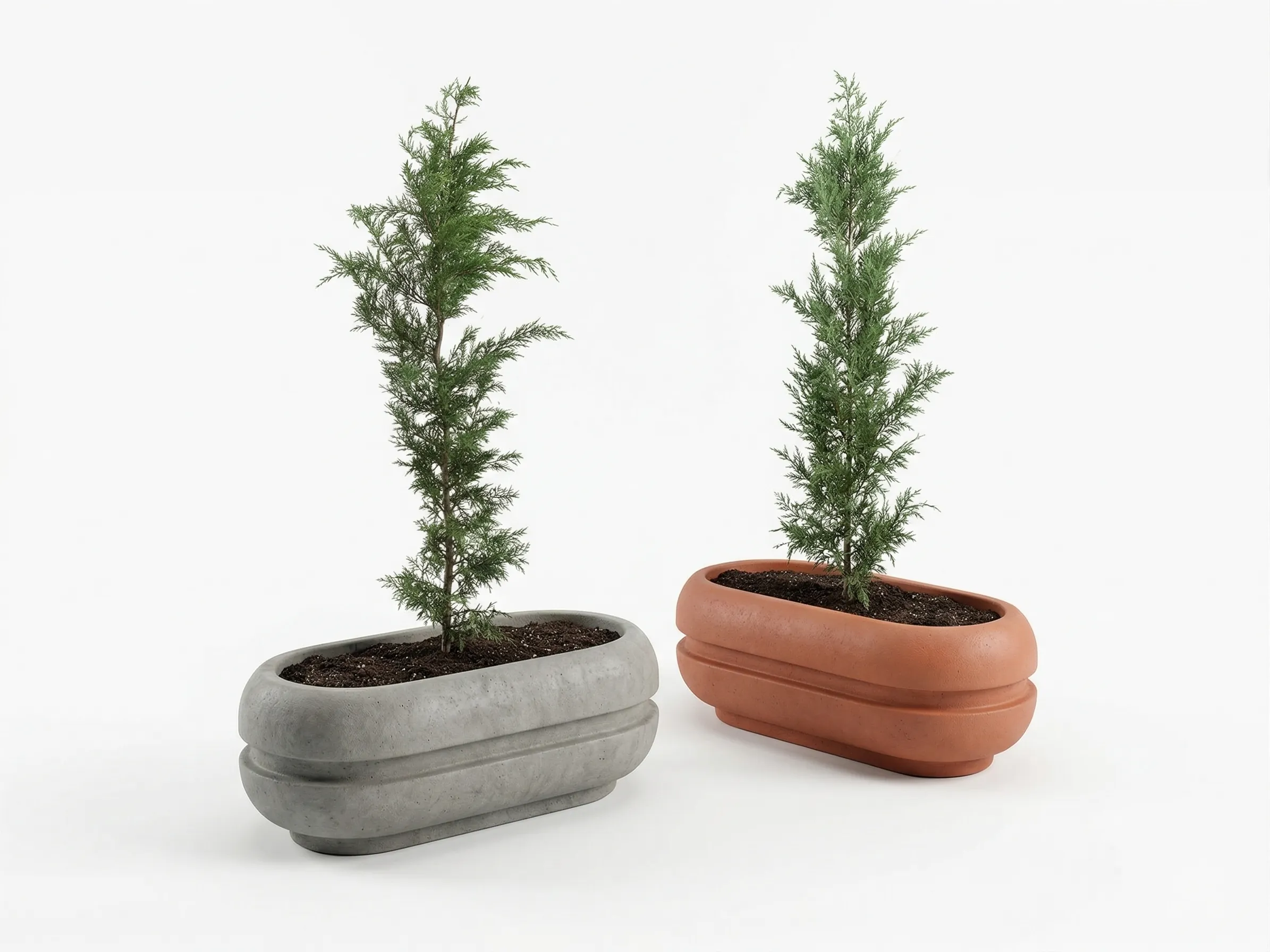 Oval Desenli Beton Saksı - Görsel 4